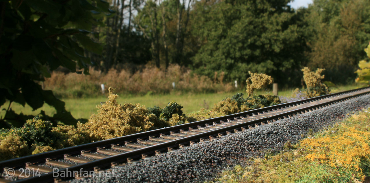 A model train